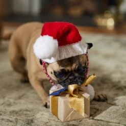 Frisco Chunky Knit Santa Dog & Cat Hat -Frisco 744878 PT5. AC SS1800 V1694793814