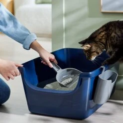 Frisco Open Top Cat Litter Box With Rim, Large & Frisco Plastic Litter Scooper With Caddy -Frisco 947526 PT5. AC SS1800 V1693924259