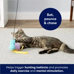 Frisco Fabric Teaser Wand Cat Toy & Frisco Bird With Feathers Teaser Wand Cat Toy With Catnip -Frisco 962094 PT8. AC SS1800 V1694782976