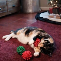 Frisco Holiday Moppy Ball Cat Toy With Catnip, 3 Count & Frisco Holiday Mice Cat Toy With Catnip, 5 Count 15 Frisco Holiday Moppy Ball Cat Toy With Catnip, 3 Count & Frisco Holiday Mice Cat Toy With Catnip, 5 Count -Frisco 986150 PT4. AC SS1800 V1698258174